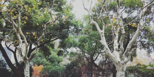 丹清河国家森林公园旅行图片 2