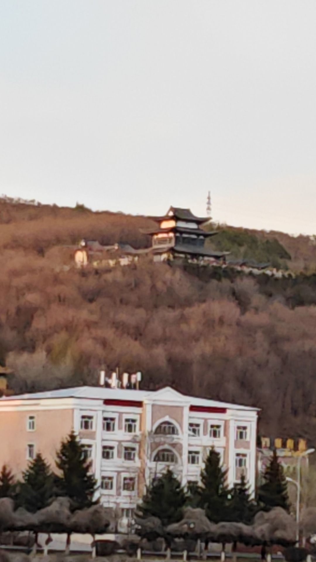 伽蓝殿实景照片