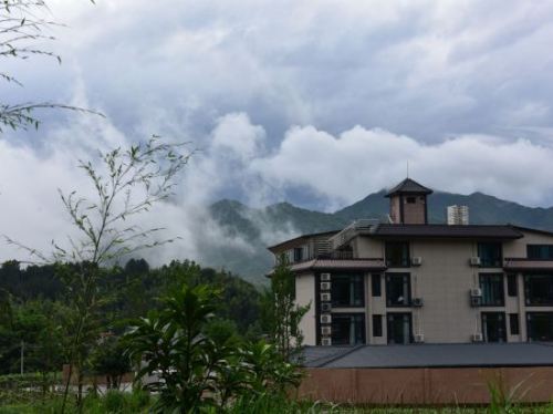 仙堂山生态茶场观光体验园旅行图片 3