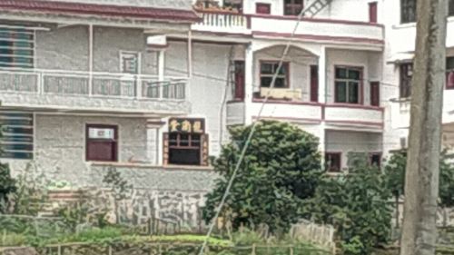 龙角堂旅行图片 1