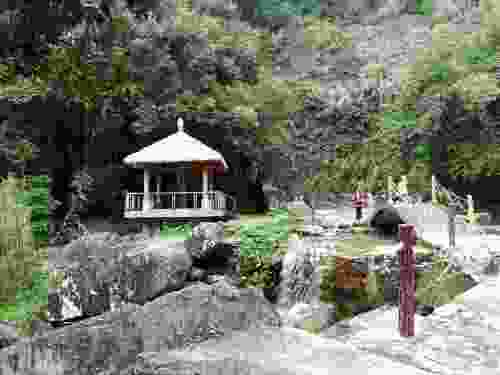 汕尾红椎林生态公园旅行图片 3