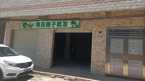 澄迈老城海岛椰子批发