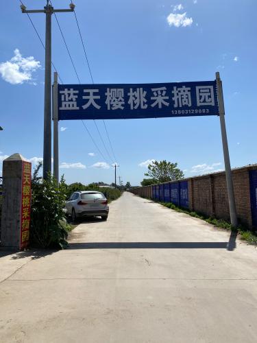 蓝天樱桃采摘园