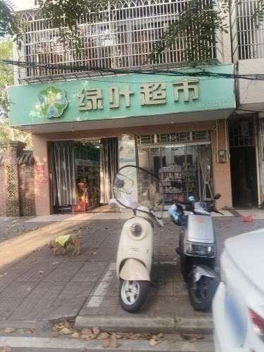 绿叶超市(振华路店)