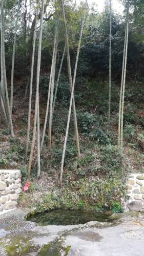瓢泉(辛弃疾故居)旅行图片 1