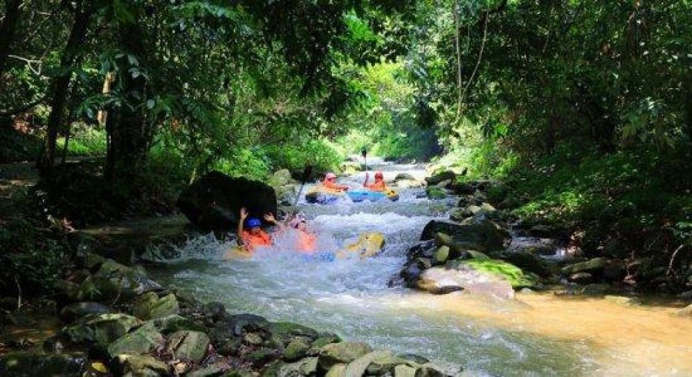 大王岭原始森林漂流景区景点图片