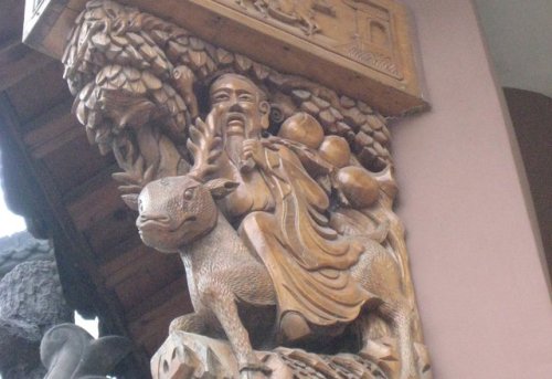 中国兰花村旅行图片 3