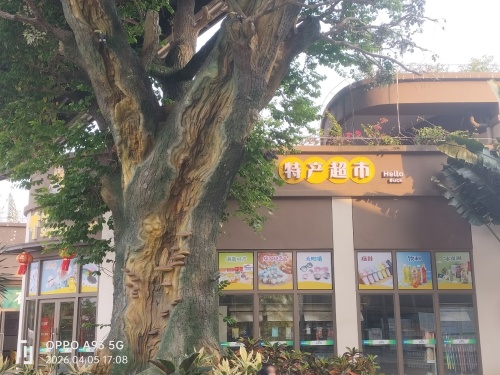 白石岭旅游区商业街-特产超市