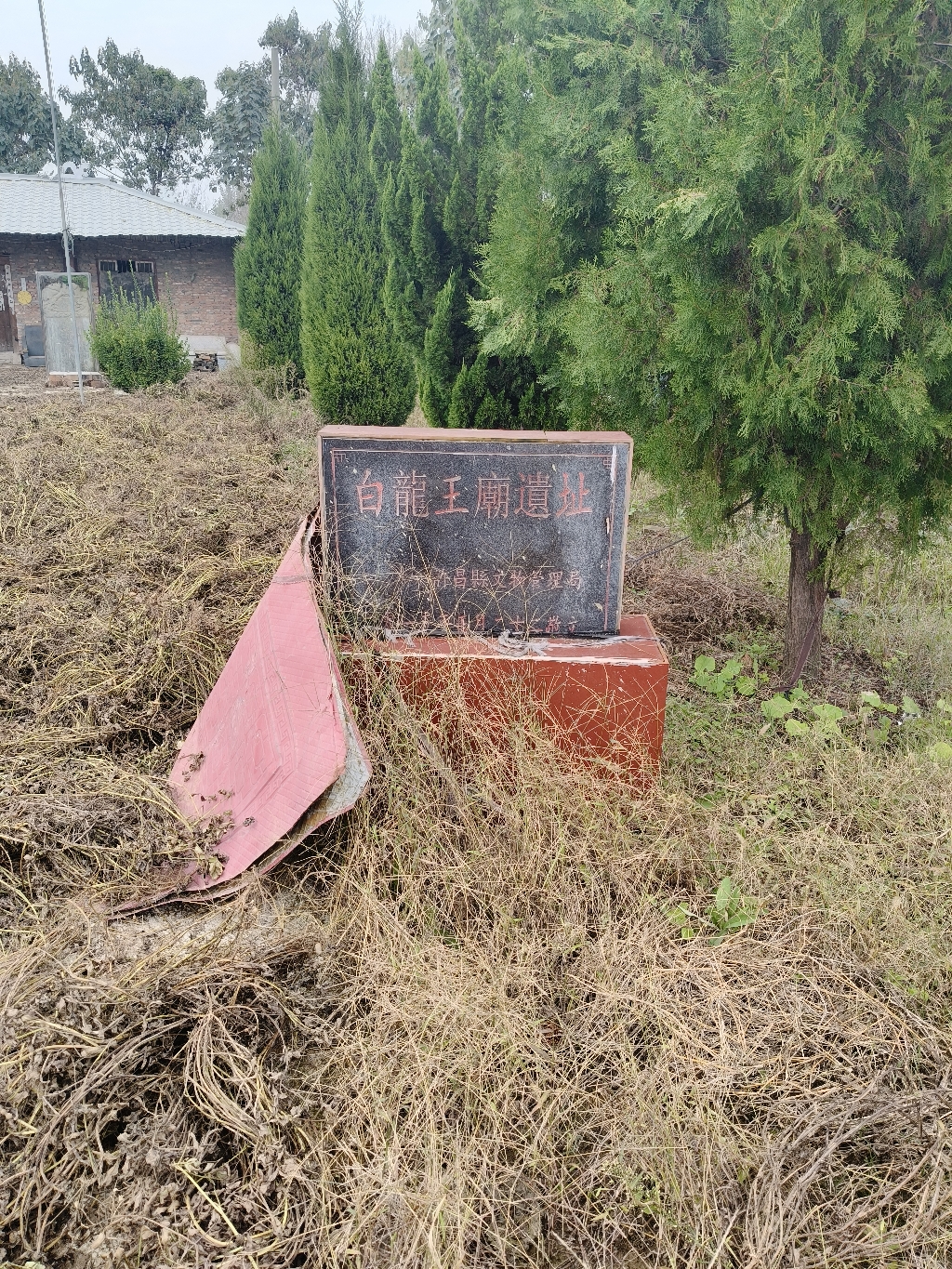 白龙王庙实景照片