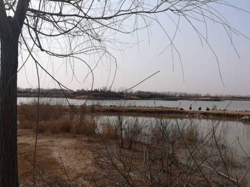 北海湿地公园旅行图片 1