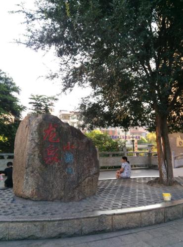 龙泉小游园旅行图片 1