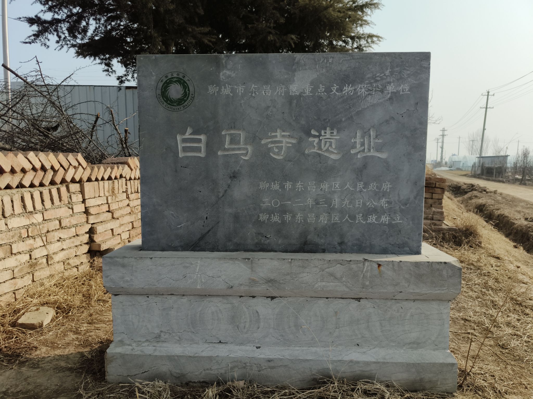聊城白马寺遗址实景照片
