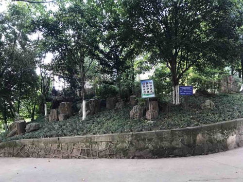 桂山公园旅行图片 2
