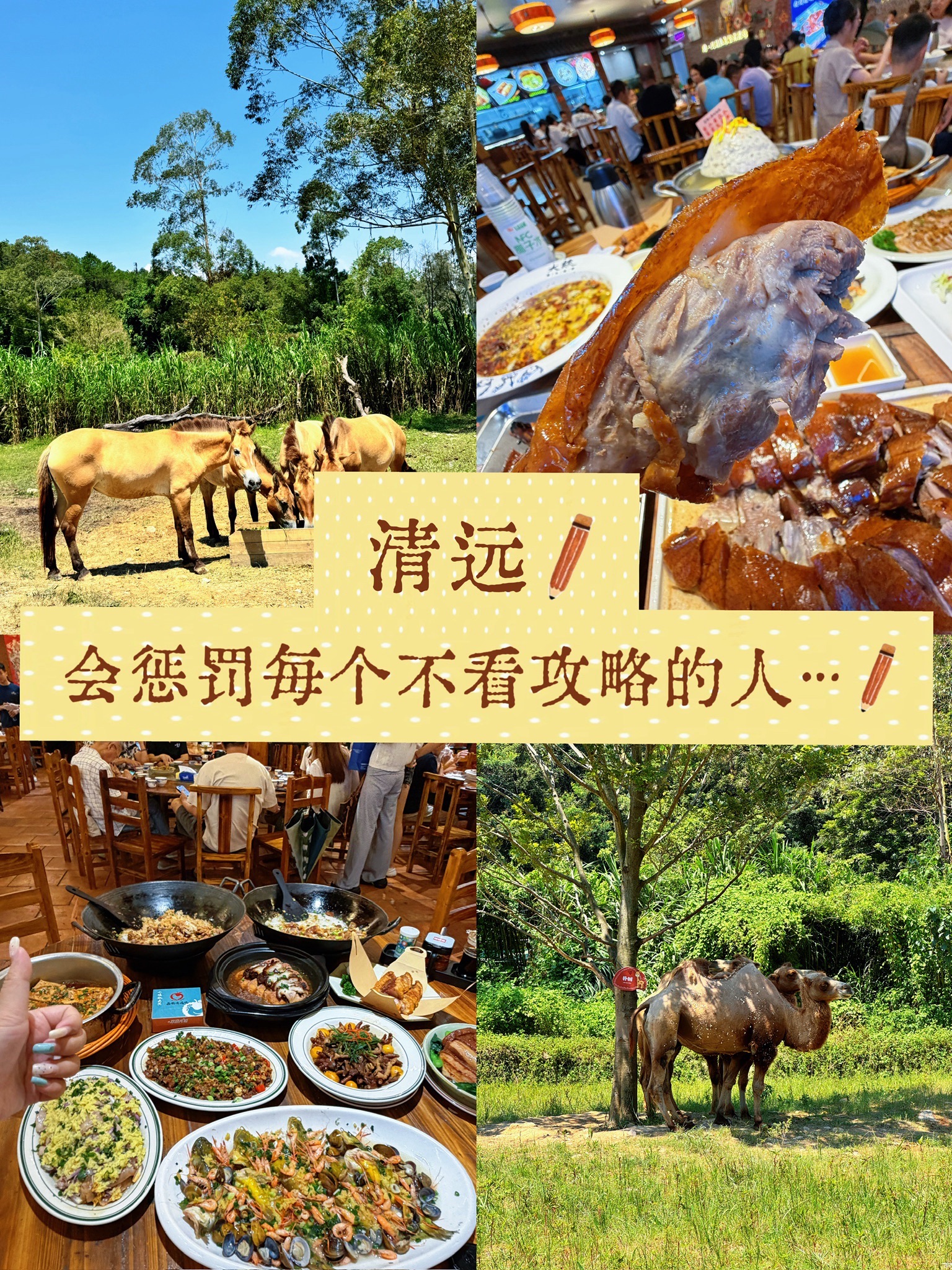 荔丽清远鸡·柴火鸡饭·炭炉瓦煲鸡·农家菜(集美长隆店)