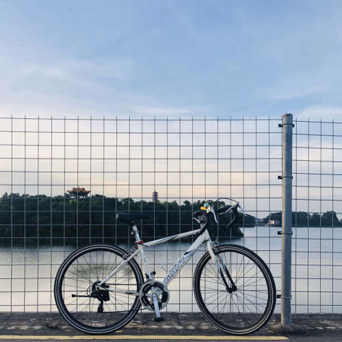 湖心亭旅行图片 2