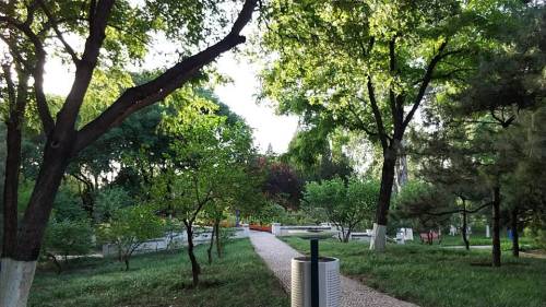 北京朝曦公园旅行图片 1