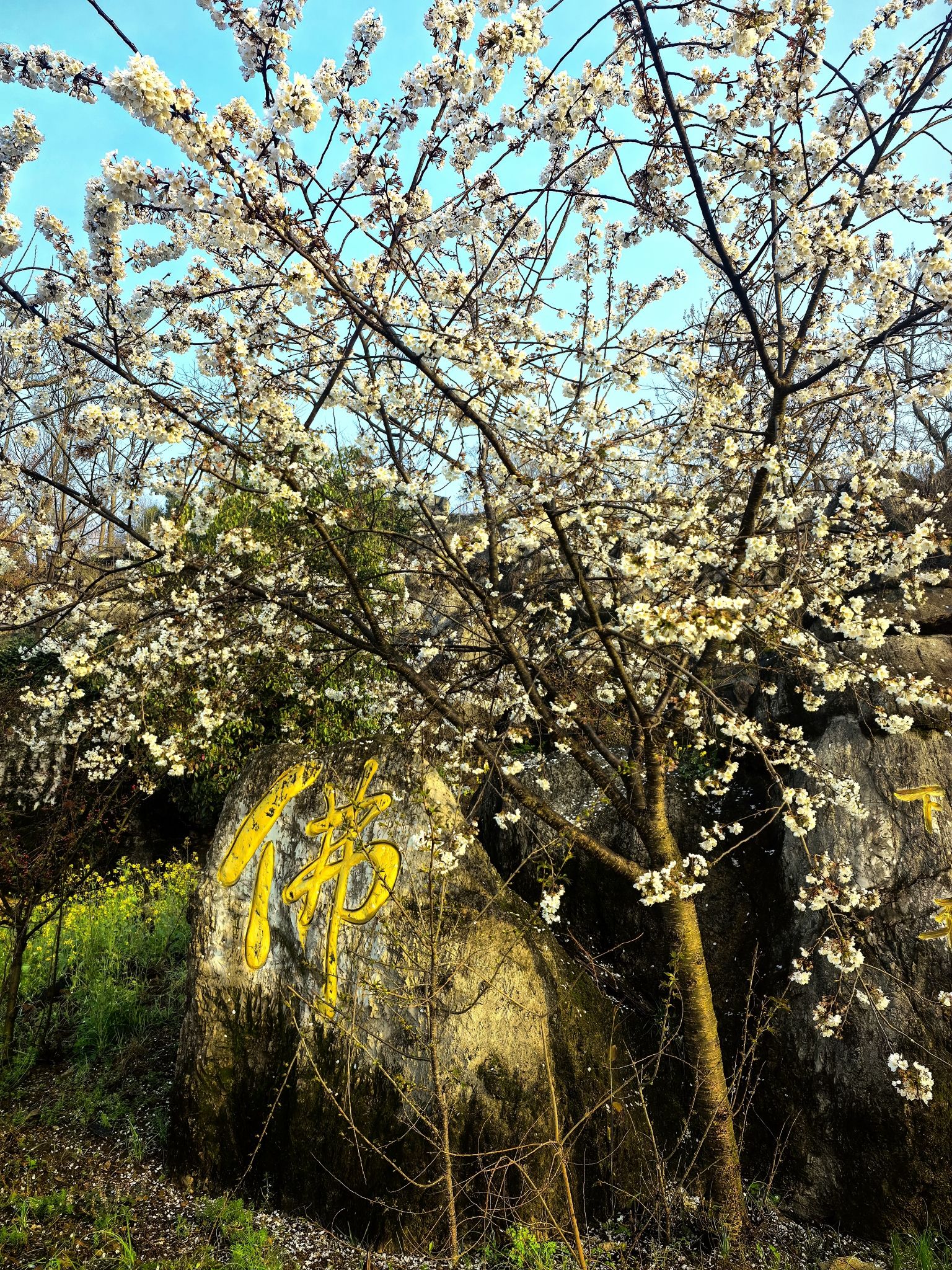 幽兰寺实景照片