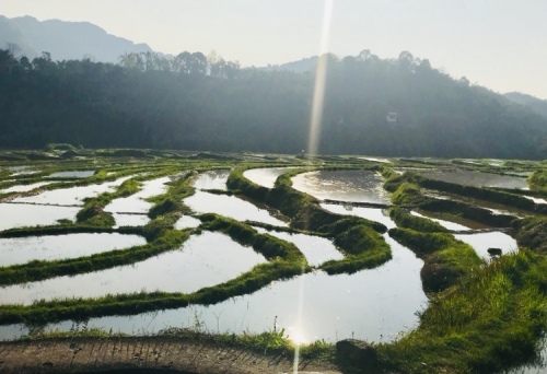 宝源梯田旅行图片 3