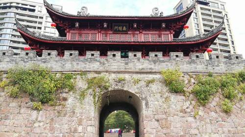 莲都江滨公园旅行图片 1