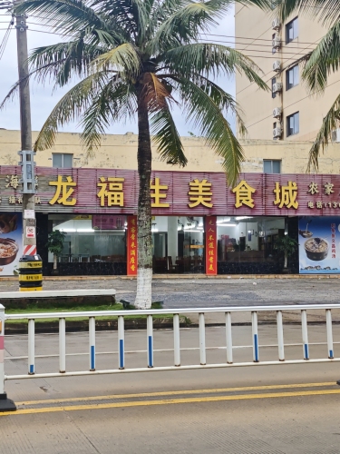 龙福生美食城·刺豚鱼·椰子鸡