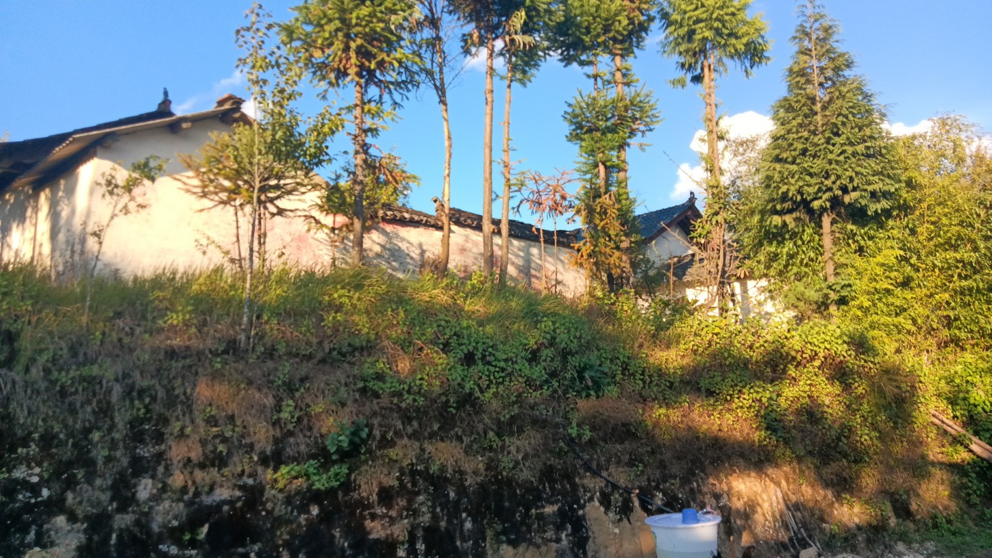 灵宝寺实景照片