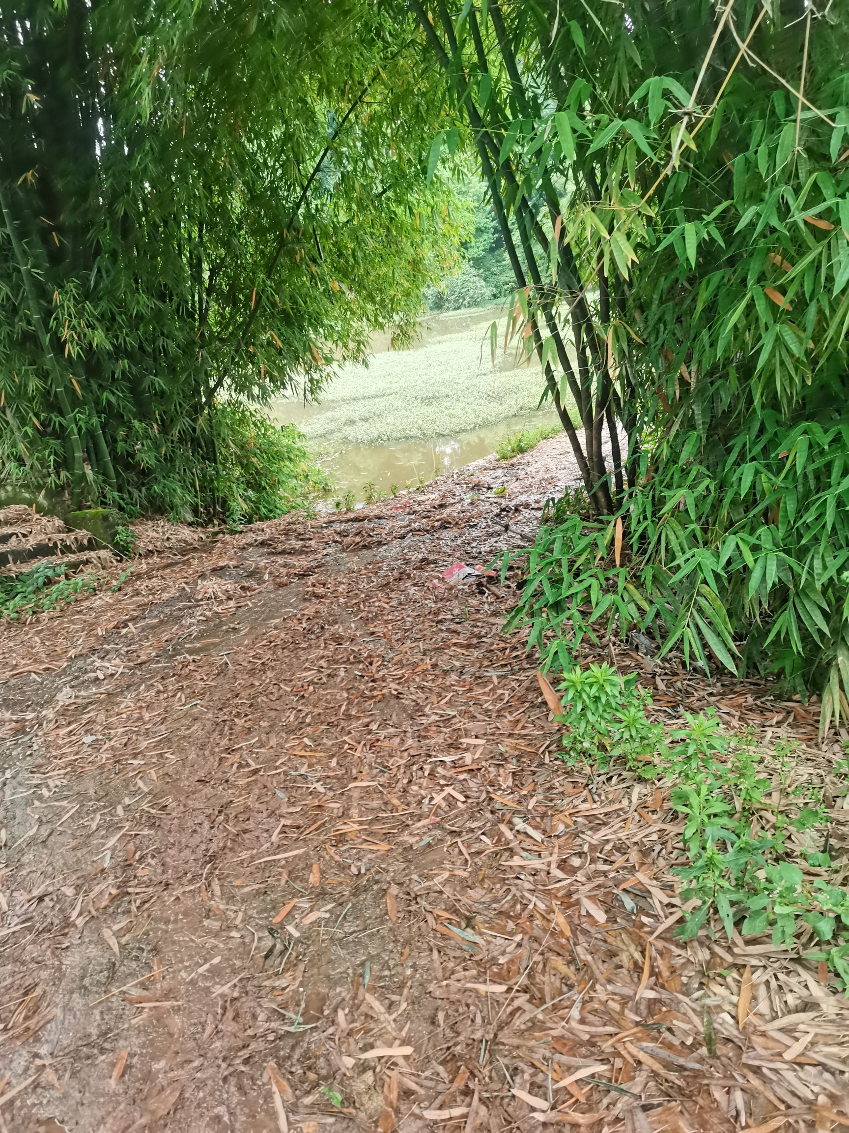 石佛寺实景照片