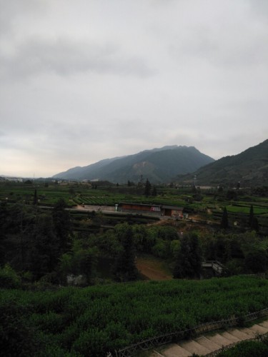 木凡言植多肉绿植园旅行图片 3