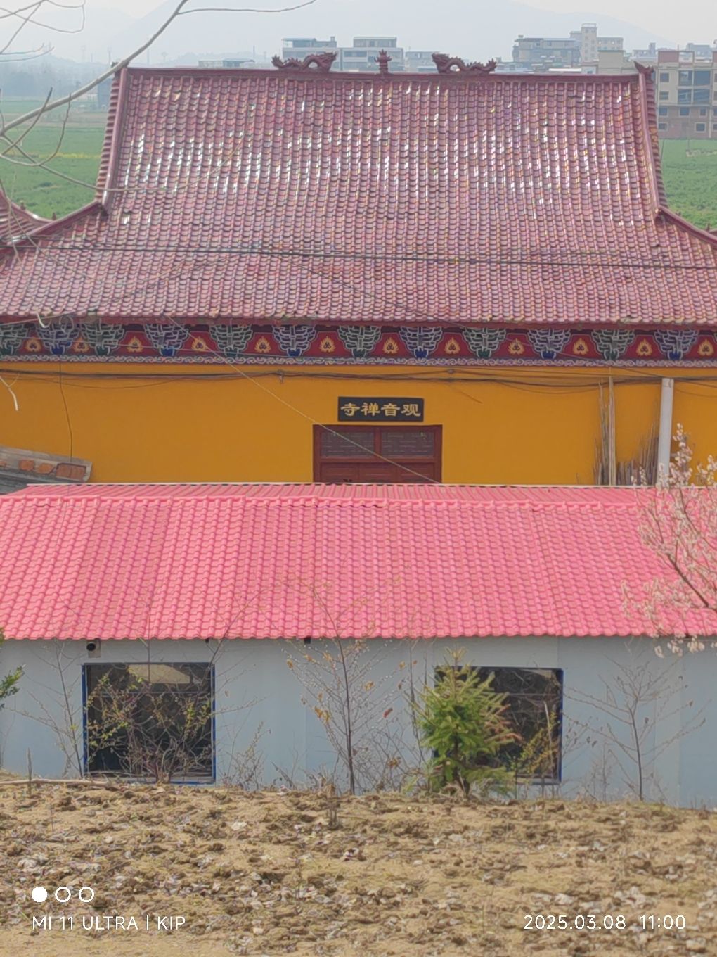 观音禅寺实景照片