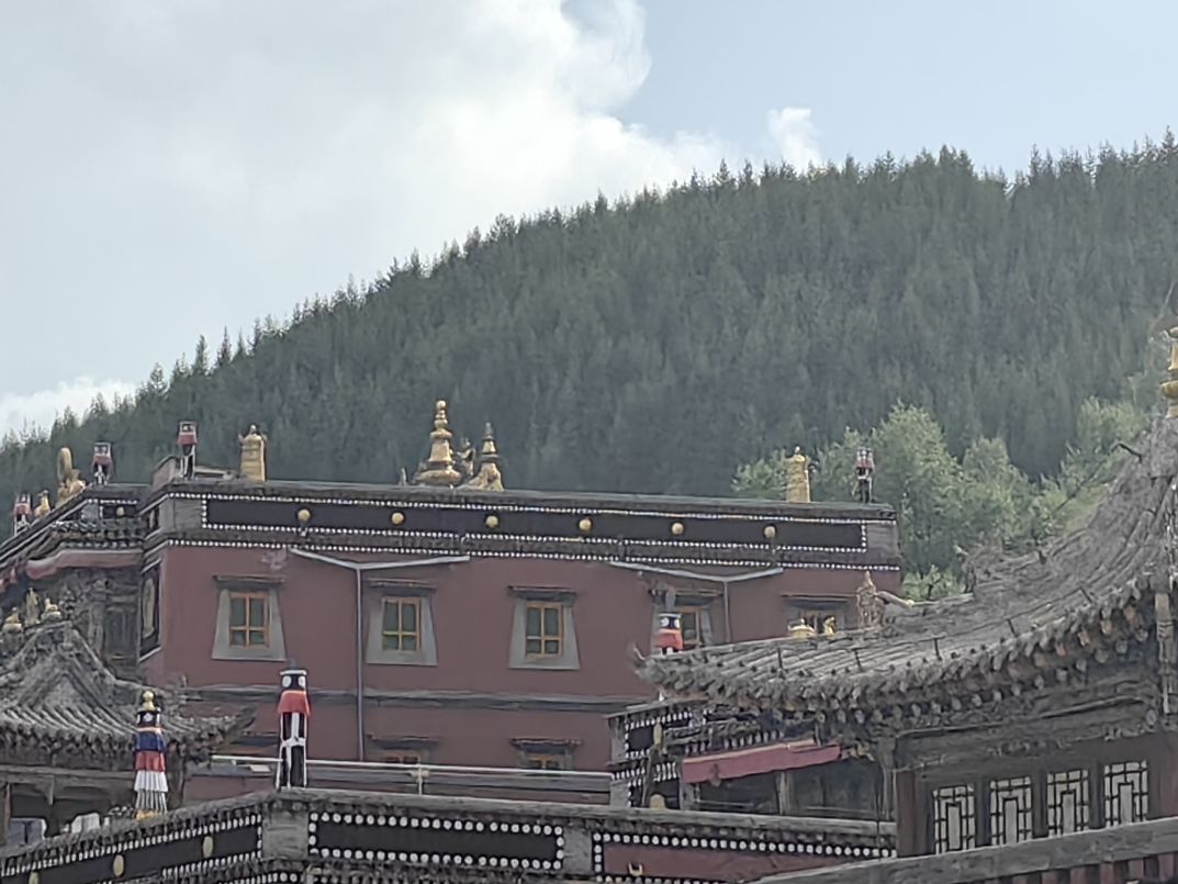 塔尔寺-护法殿实景照片