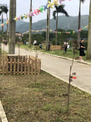 美禾奇趣园旅行图片 1