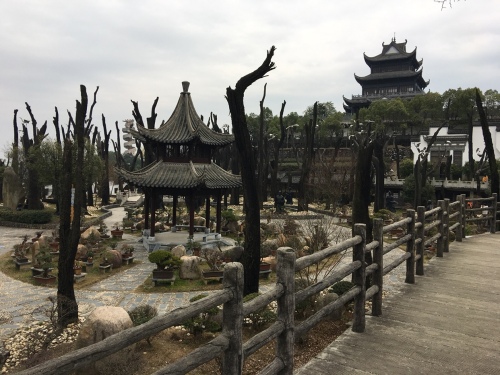 太美太湖旅游区旅行图片 3