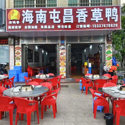 海南屯昌香草鸭