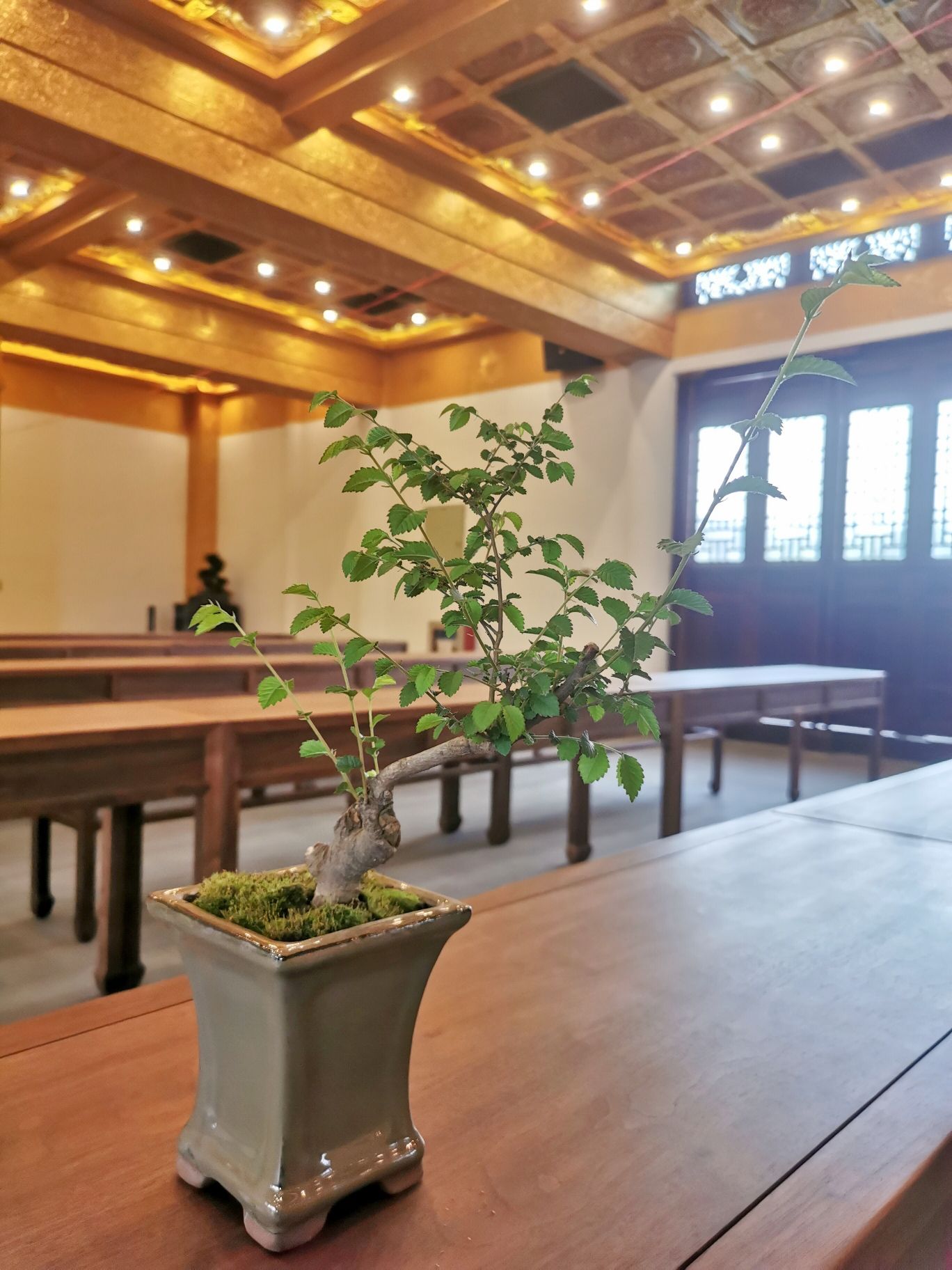 凝禧寺实景照片