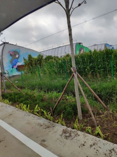 青岛百亿绿洲多肉植物园旅行图片 1