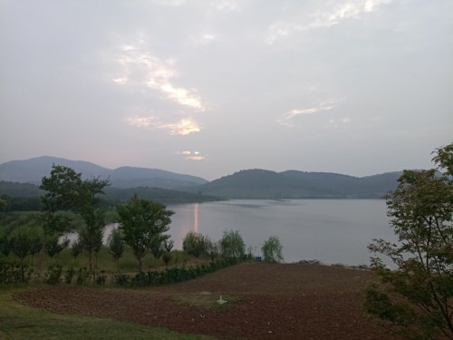 半月湖植物园旅行图片 3