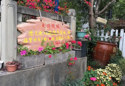 观海湾旅行图片 3