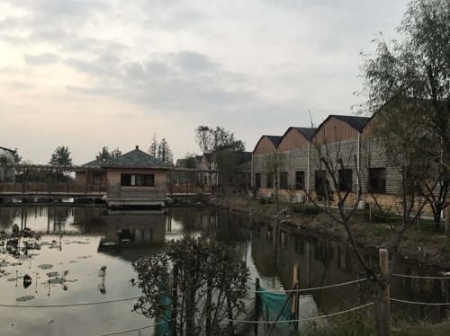 苏州华城多肉植物园旅行图片 1