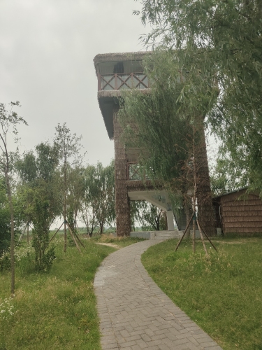 安国湖国家湿地公园-观鸟塔