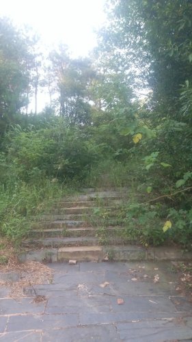 真君山公园旅行图片 3