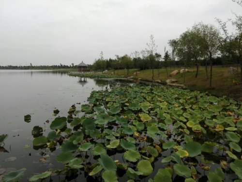 如皋龙游湖风景区