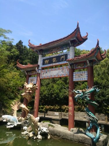 鲤龙潭森林公园旅行图片 3