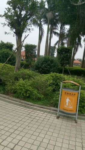 胜前公园旅行图片 3