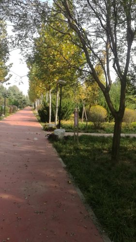安丘市青云植物园旅行图片 3