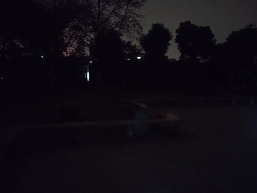 双清园旅行图片 2