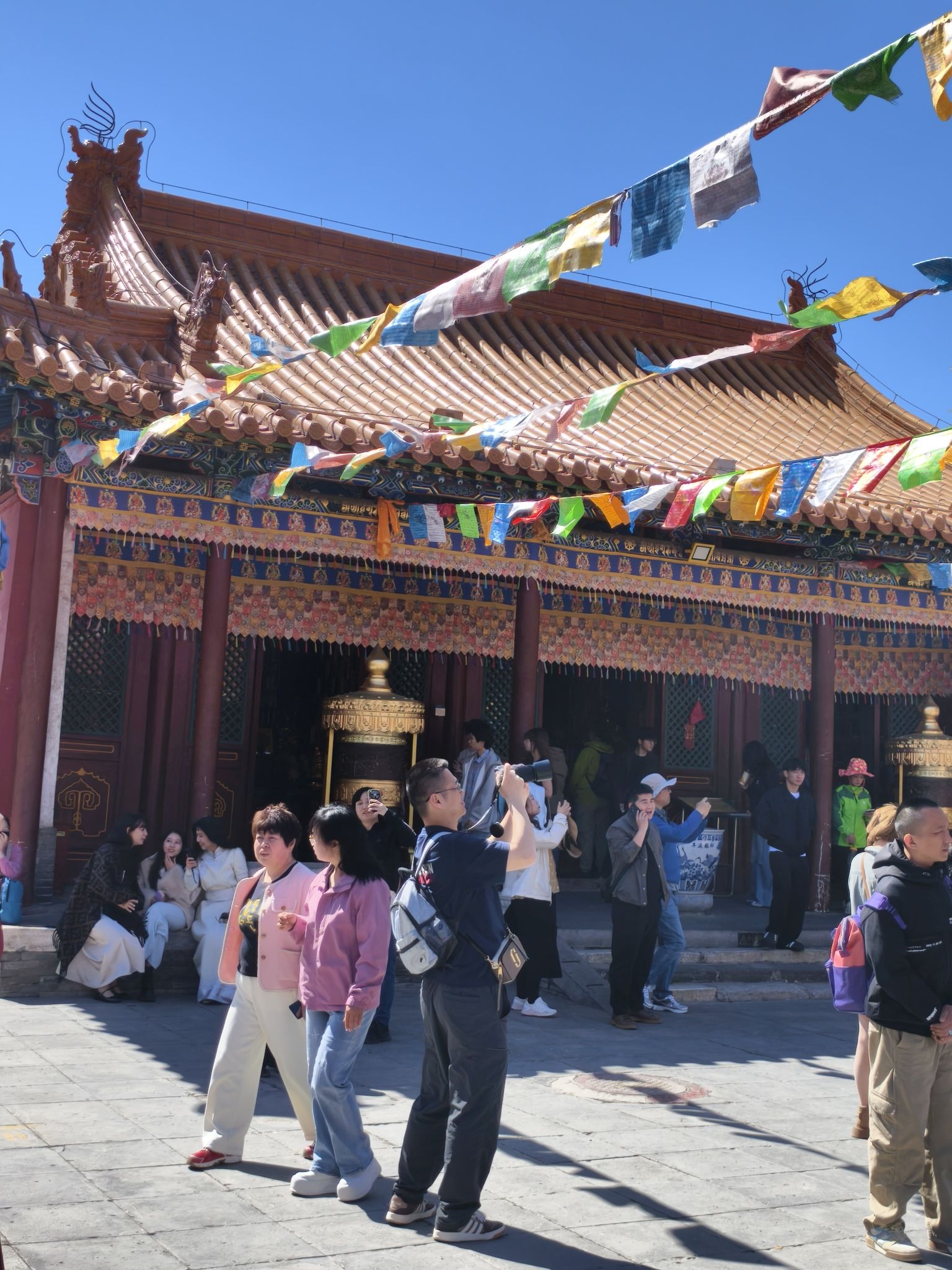 密集金刚殿实景照片