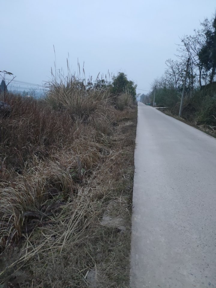 真如寺实景照片