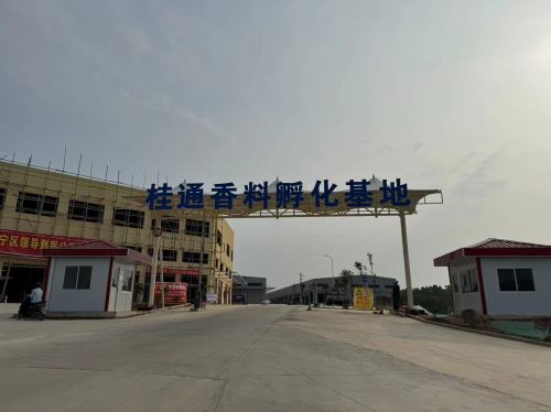 广西桂通香料孵化基地实景图