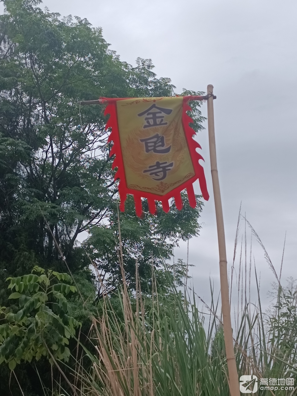 雁江区金龟寺实景照片