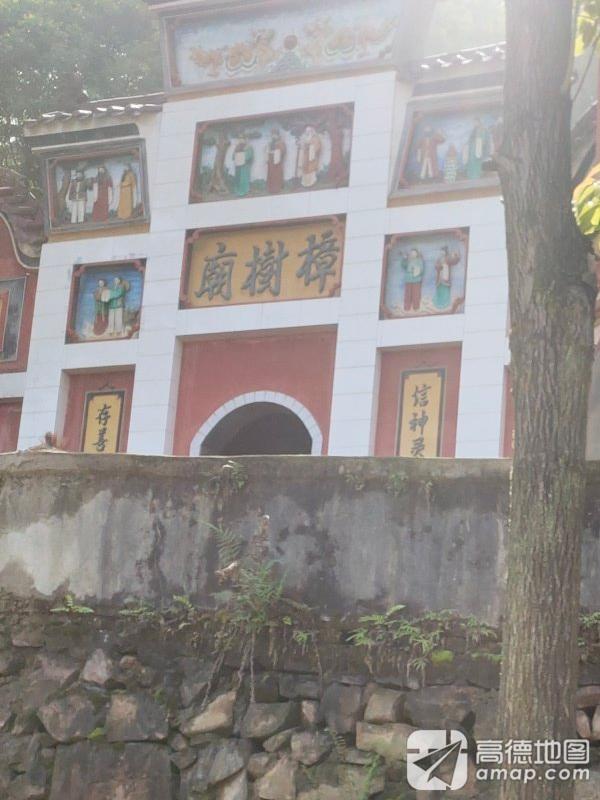 樟树庙实景照片