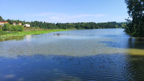 乐至县观音湖湿地